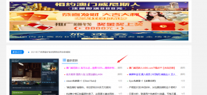 站长因网站发布色情资源等信息被抓插图1