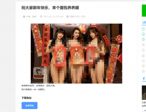 站长因网站发布色情资源等信息被抓插图2