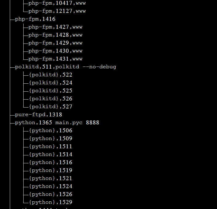 LINUX服务器如何查看进程插图3